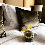 Boutique Straelman Hotel 3*