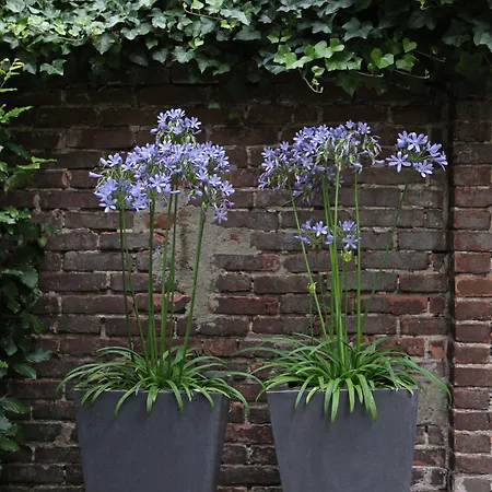 Boutique Straelman 3*