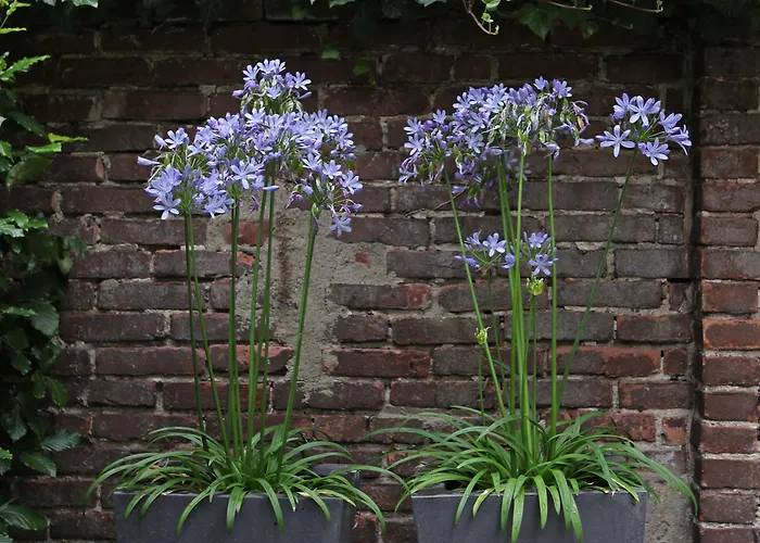 Boutique Straelman 3*